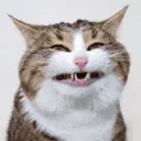 Rexie