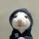 hoodrat