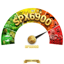 MIS6900