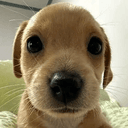 BILLY