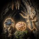 Insects