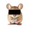 Anonymouse
