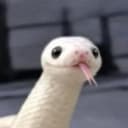 snek