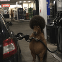 AfroDom