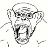 CHIMP