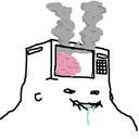 MICROWAVED