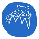 USDRC