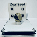 QuailSeed