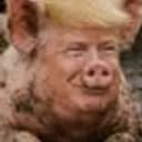 POTUS