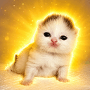 kittpidd