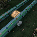 Tortoise