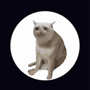 Cash Cat