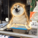 シバくん