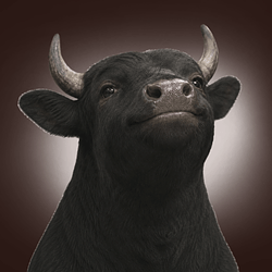 Popbull
