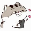 MEO