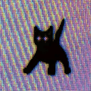 discocat