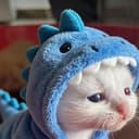 DINOCAT