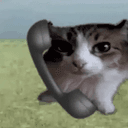 callcat