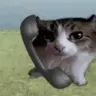 callcat