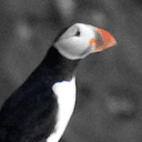PUFFIN