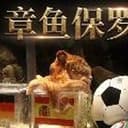 章鱼保罗
