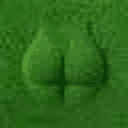 GRASS