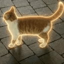 🐈