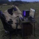 clicking