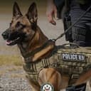 K9s