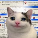 url