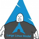 LLM