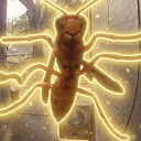 WASP