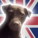Rolo