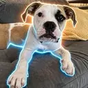 Riggs