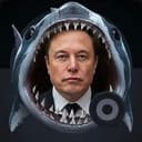 sharkmusk