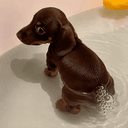 FARTDOG