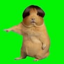 HIM