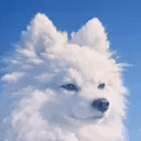 CloudDog