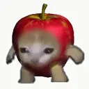 ACAT