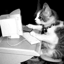 MEOWZERS