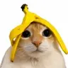 Bananacat
