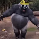 ALONOOO