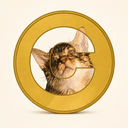 CATE