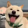 Hakuchan