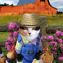 farmcаt