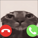 CATCALL