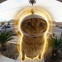 CATCOPTER