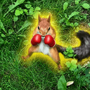 BNUT