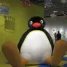 ピングー