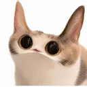 MEEP